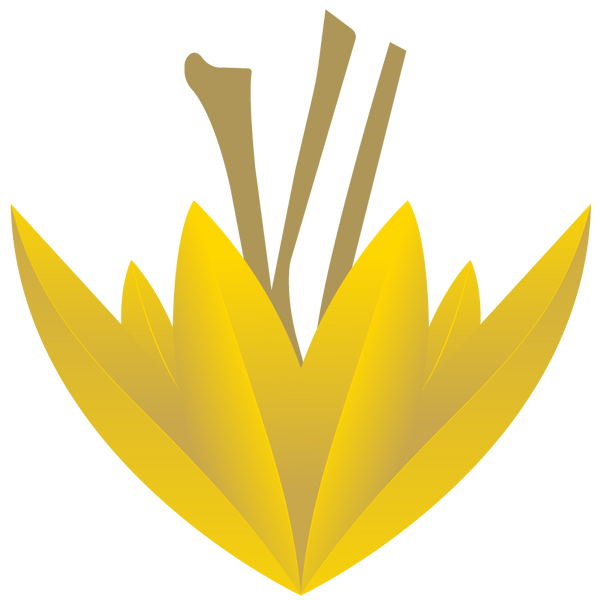 Goldsaff